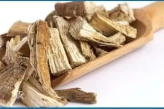Marshmallow-Root1